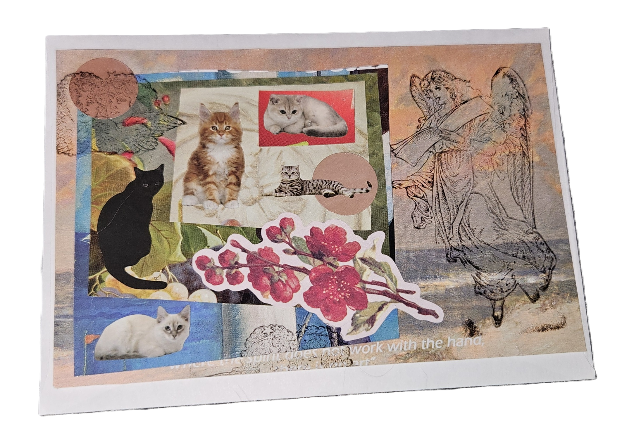 cat collage