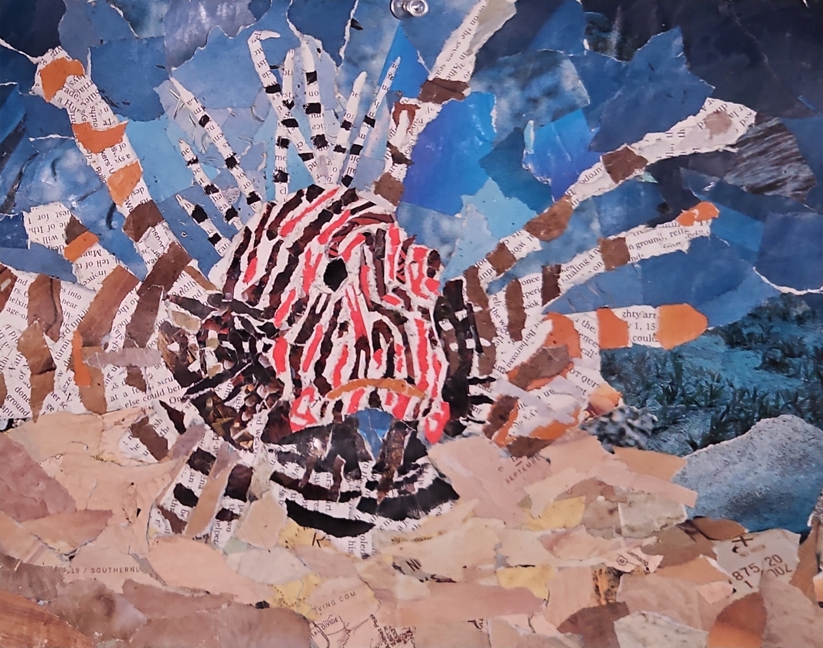 lionfish collage