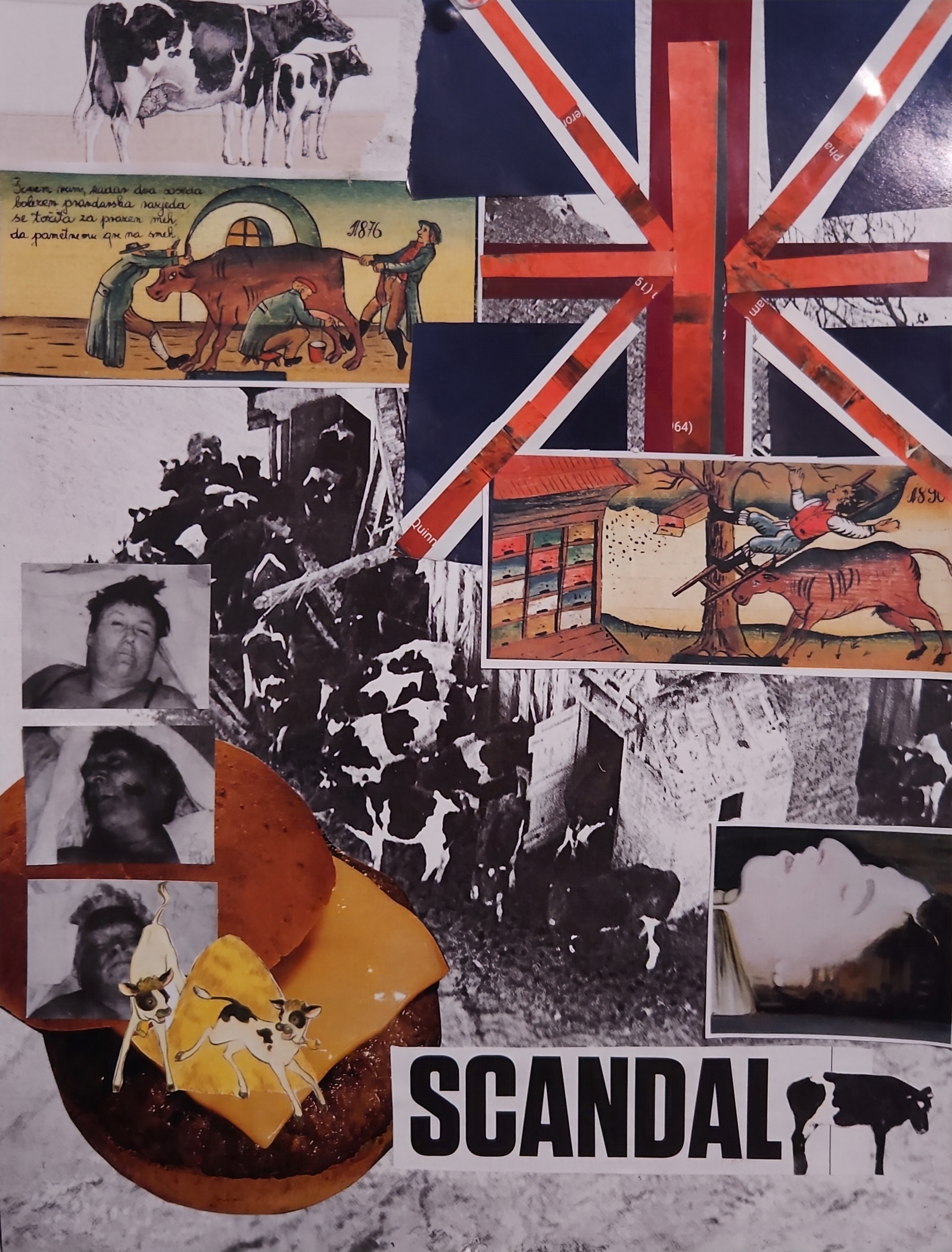 mad cow collage